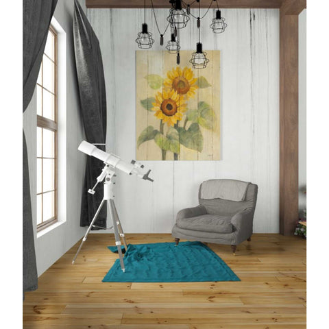 Image of 'Summer Sunflowers I on Barn Board' by Albena Hristova, Canvas Wall Art,26 x 34