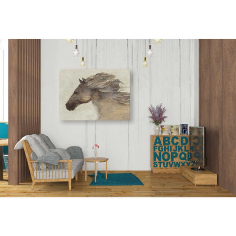 Image of 'Into the Wind Ivory Crop' by Albena Hristova, Canvas Wall Art,34 x 26