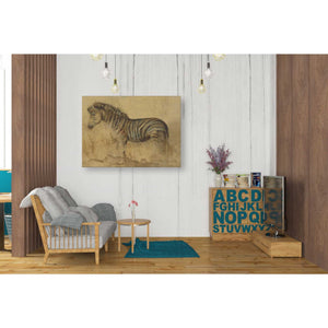 'Global Zebra Light Crop' by Cheri Blum, Canvas Wall Art,26 x 34