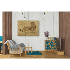 'Global Tiger Light Crop' by Cheri Blum, Canvas Wall Art,26 x 34