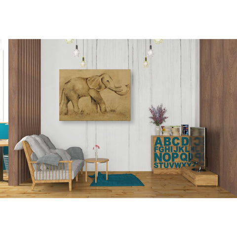 Image of 'Global Elephant Light Crop' by Cheri Blum, Canvas Wall Art,26 x 34