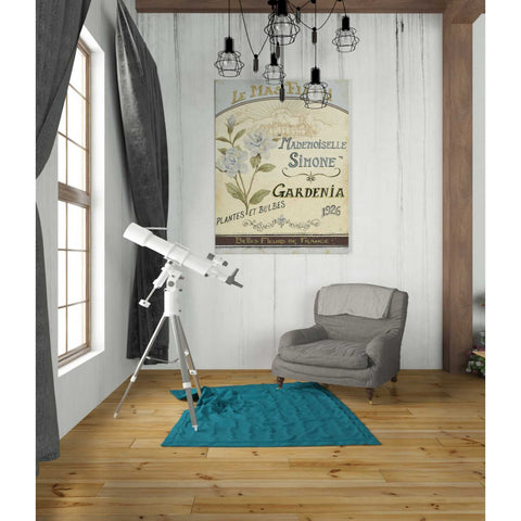 Image of 'French Seed Packet IV' by Daphne Brissonet, Canvas Wall Art,26 x 34