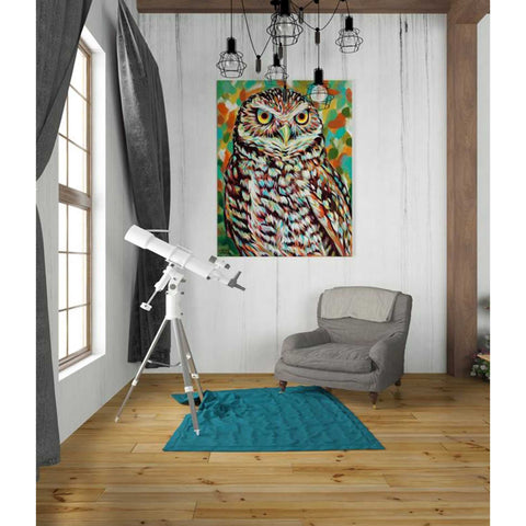 Image of 'Furry Feather Friends II' by Carolee Vitaletti Giclee Canvas Wall Art
