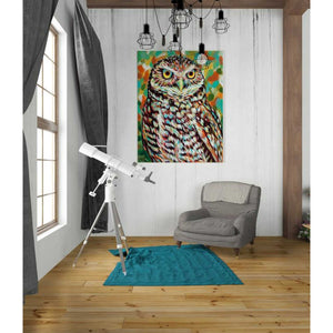 'Furry Feather Friends II' by Carolee Vitaletti Giclee Canvas Wall Art