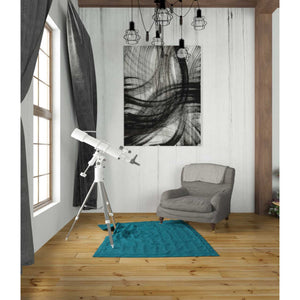 'Hurricane' Canvas Wall Art,26 x 34