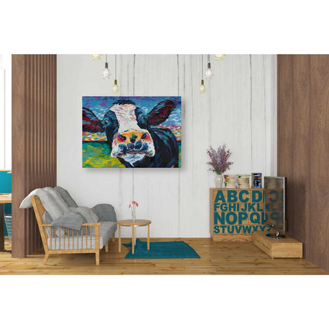 Image of 'Curious Cow II' by Carolee Vitaletti Giclee Canvas Wall Art