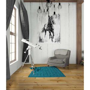 'Rustic Stallion I' by Ethan Harper Canvas Wall Art,26 x 34