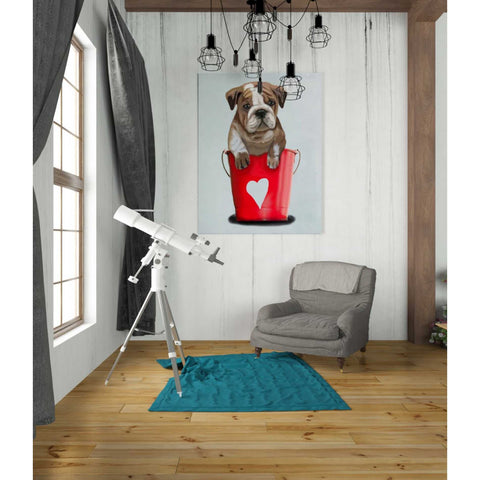 Image of 'Bulldog Bucket Of Love, Red' by Fab Funky Giclee Canvas Wall Art