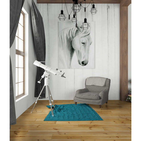 Image of 'Horse Whisper II' by Grace Popp Canvas Wall Art,26 x 34