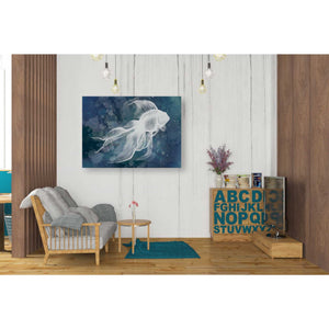 'Indigo Fish II' by Grace Popp Canvas Wall Art,34 x 26