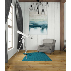 'Organic Cascade I' by Grace Popp Canvas Wall Art,26 x 34