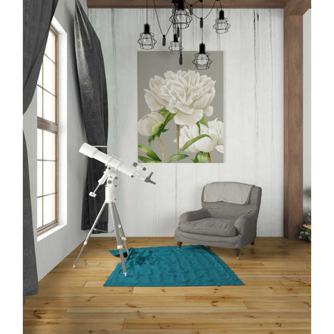 Image of 'White Peonies II' by Grace Popp Canvas Wall Art,26 x 34