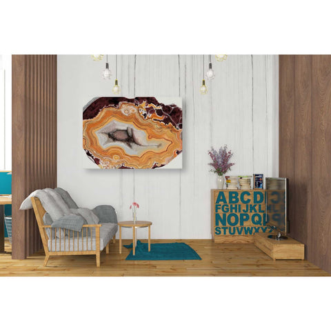 Image of 'Agate Studies III" by Naomi McCavitt. McCavitt Giclee Canvas Wall Art