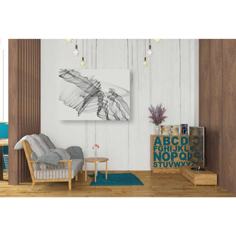 Image of 'Abstract Black and White 19-22-36' by Irena Orlov, Canvas Wall Art,34 x 26