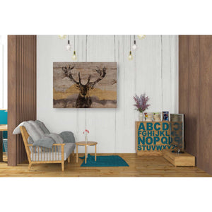 'White-Tailed Deer' by Irena Orlov, Canvas Wall Art,34 x 26