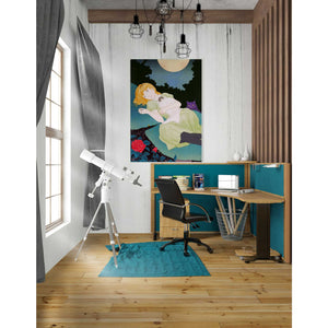 'Moonlight' by Sai Tamiya, Canvas Wall Art,26 x 40