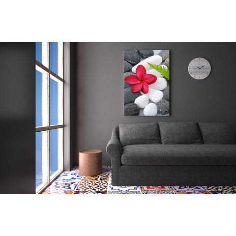 Image of 'Wabi-Sabi I' Canvas Wall Art,26 x 40