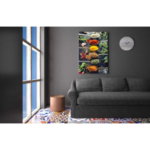'A Pinch of Spice' Canvas Wall Art,26 x 40