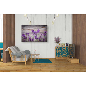 'Serene and Rustic' Canvas Wall Art,26 x 40