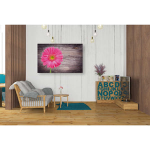 'Friendship' Canvas Wall Art,26 x 40
