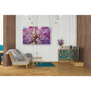 'Thing of Beauty' Canvas Wall Art,26 x 40