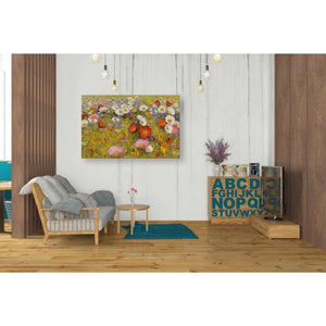 'Champ de Fleur III' by Shirley Novak, Canvas Wall Art,40 x 26