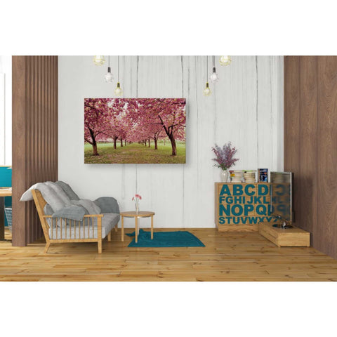 Image of 'Hall of Cherries' by Katherine Gendreau, Giclee Canvas Wall Art
