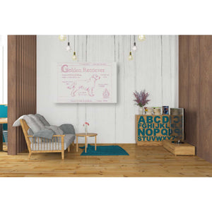 'Blueprint Golden Retriever in Pink' by Ethan Harper Canvas Wall Art,40 x 26
