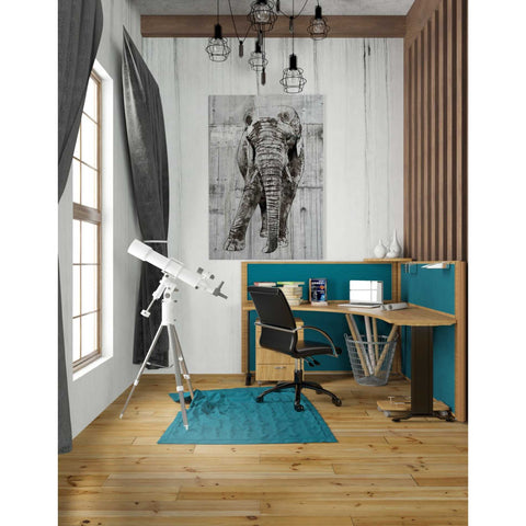 Image of 'ELEPHANT Portrait' by Irena Orlov, Canvas Wall Art,26 x 40