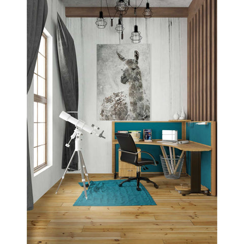 Image of 'Llama' by Irena Orlov, Canvas Wall Art,26 x 40