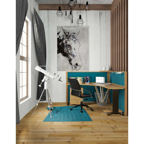 Image of 'Morgan Horse-Black Beauty' by Irena Orlov, Canvas Wall Art,26 x 40