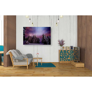 'Winter Nights' by Darren White, Canvas Wall Art,26 x 40