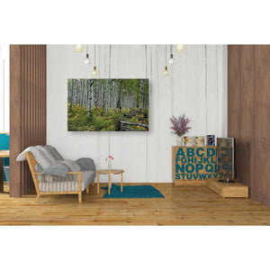 'Aspen Grove Rail Fence,' Canvas Wall Art,26 x 40