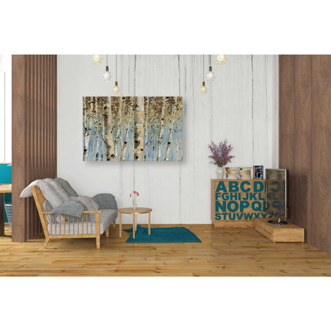 Image of 'White Forest' by Lisa Audit, Canvas Wall Art,,26 x 40