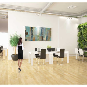 'Skylights' by Silvia Vassileva, Canvas Wall Art,30 x 60