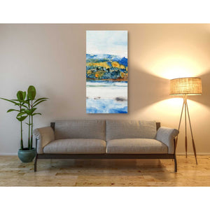 'Island Mist II' by Tim O'Toole Canvas Wall Art,30 x 60