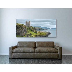 'Lone,' Canvas Wall Art,30 x 60