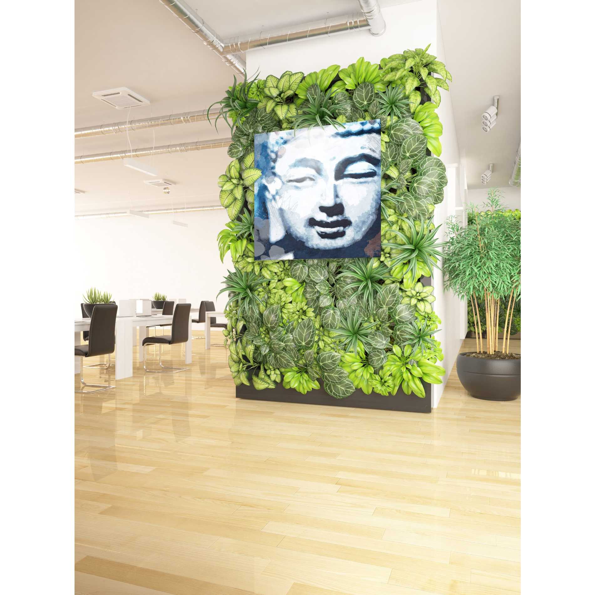 'Peaceful Buddha II' by Linda Woods, Canvas Wall Art,37 x 37