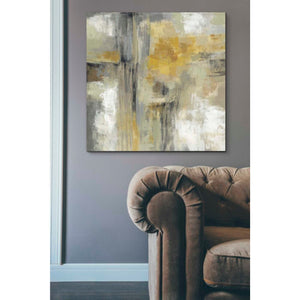 'Sun and Rain' by Silvia Vassileva, Canvas Wall Art,37 x 37