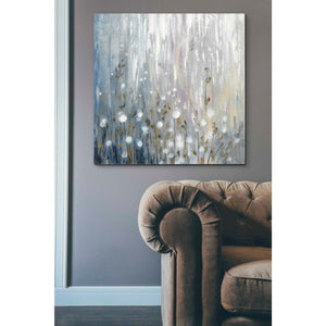 'January Branches' by Silvia Vassileva, Canvas Wall Art,37 x 37