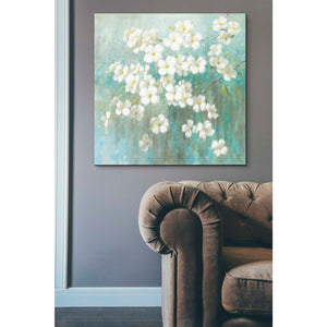 'Spring Dream I Abstract' by Danhui Nai, Canvas Wall Art,37 x 37