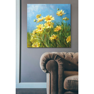'Summer Field I' by Danhui Nai, Canvas Wall Art,37 x 37