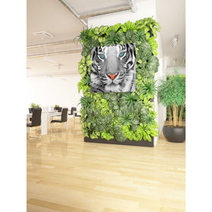 'Thrill of the Tiger' Canvas Wall Art,37 x 37