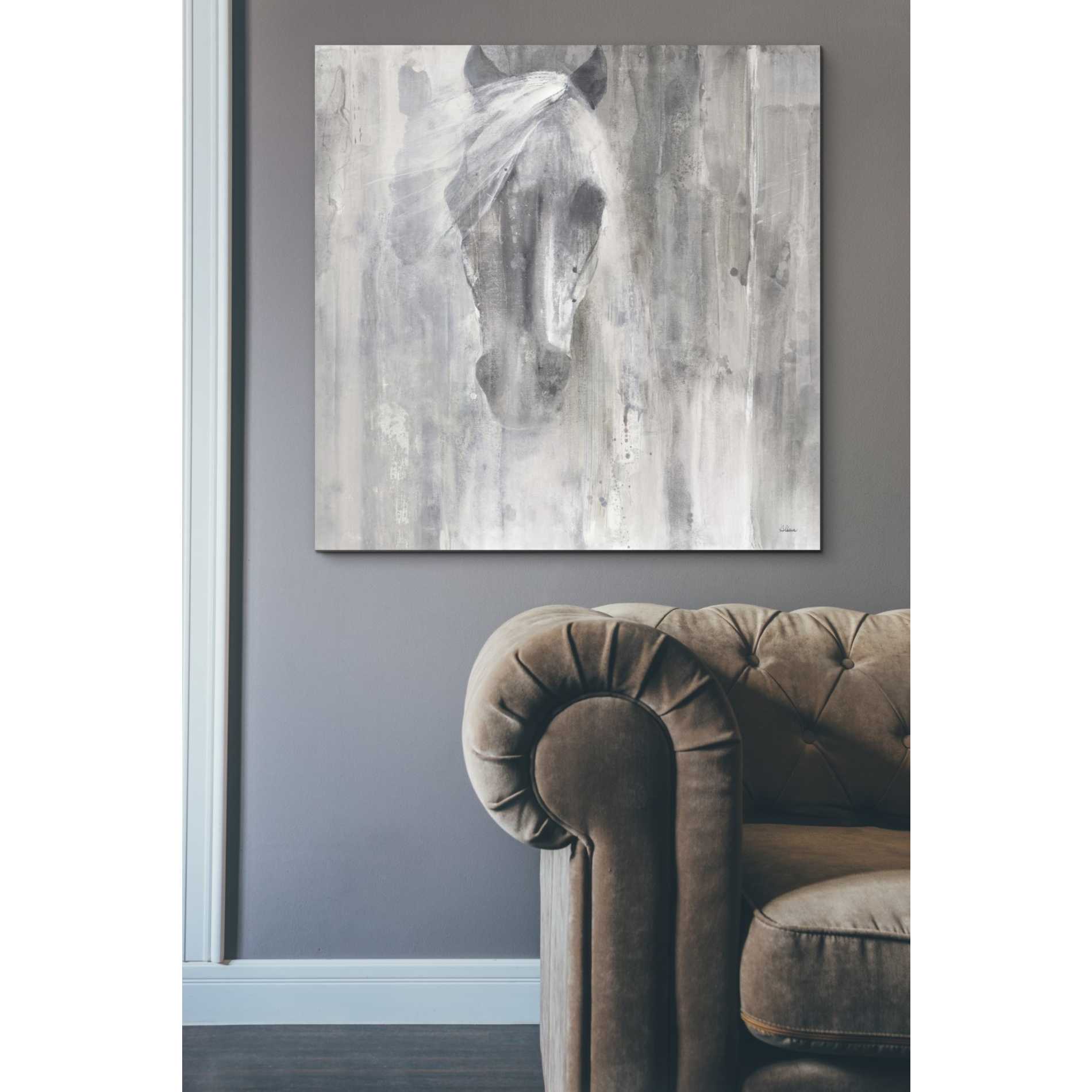 'Shadow Gray' by Albena Hristova, Canvas Wall Art,37 x 37