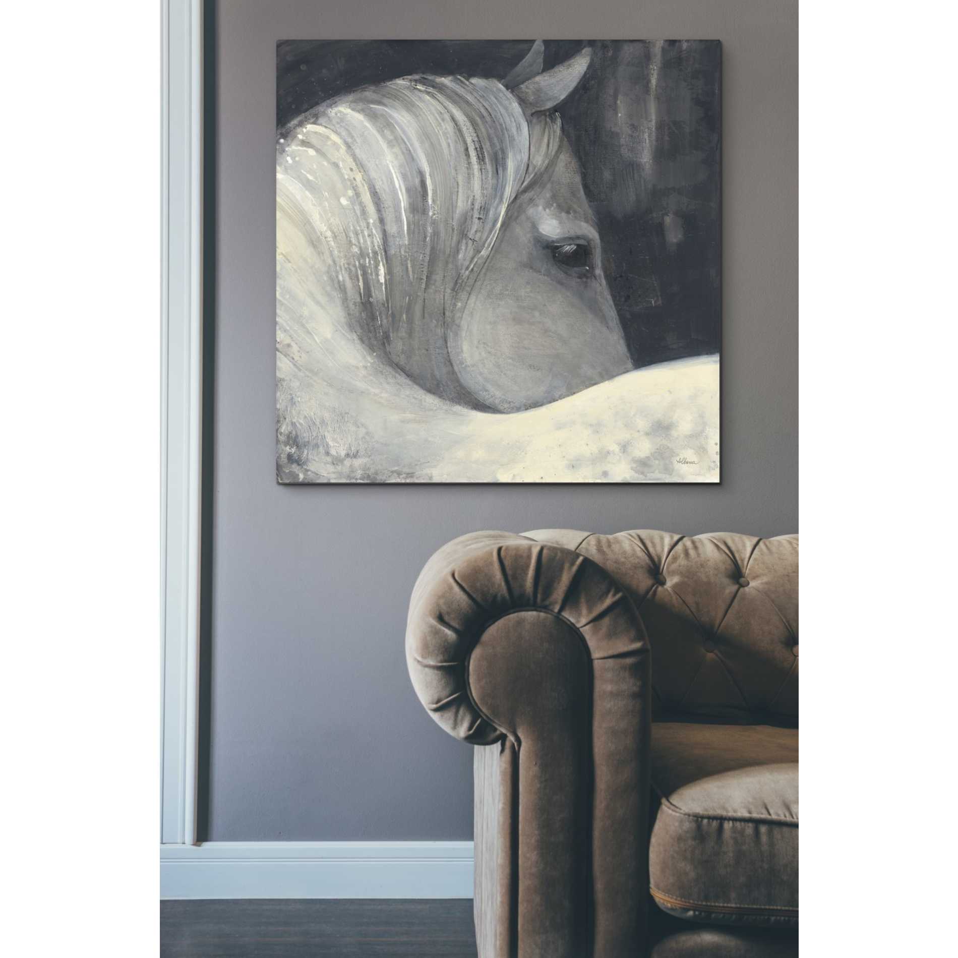 'Bijou' by Albena Hristova, Canvas Wall Art,37 x 37