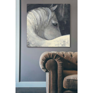 'Bijou' by Albena Hristova, Canvas Wall Art,37 x 37