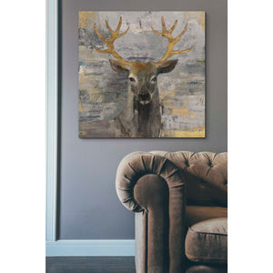 'The Leader Gold Light Grey' by Albena Hristova, Canvas Wall Art,37 x 37
