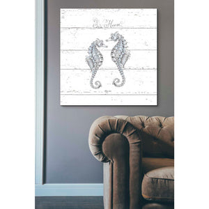 'Aqua Underwater Life V Shiplap' by Daphne Brissonet, Canvas Wall Art,37 x 37