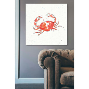 'Maritime XI' by Daphne Brissonet, Canvas Wall Art,37 x 37