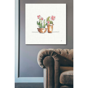'Desert Bloom VI' by Daphne Brissonet, Canvas Wall Art,37 x 37